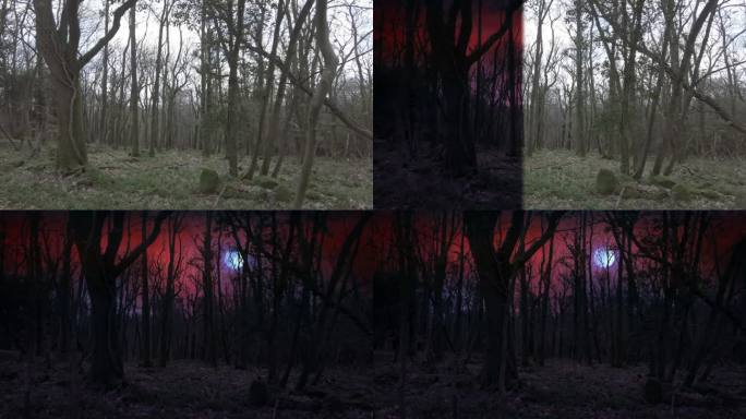 FX擦天梦魇林地景观