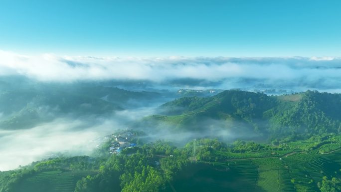 云雾中的茶山