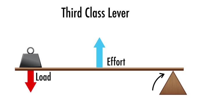 物理科学解释动画:第三类杠杆