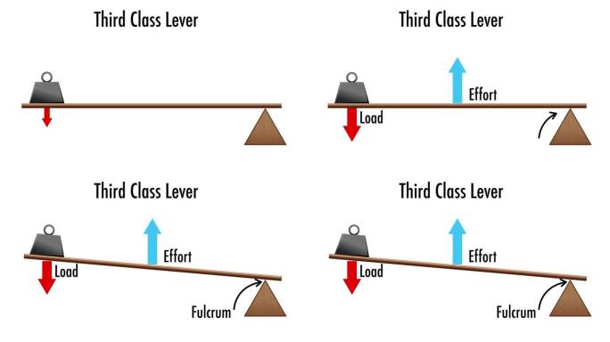 物理科学解释动画:第三类杠杆