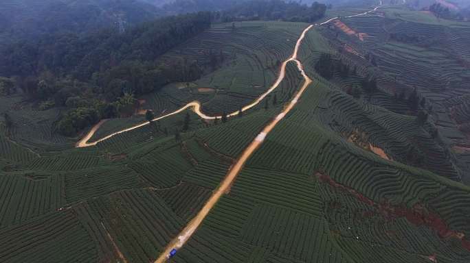 航拍四川春茶园