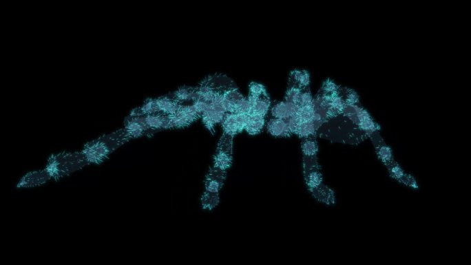 蜘蛛 狼蛛毒液害虫虫子触角很多脚蜘蛛网