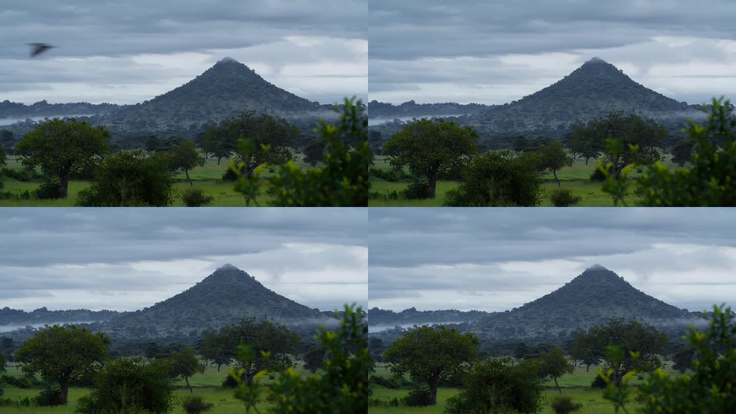 在多云的天空下，坦桑尼亚群山环绕着绿树
