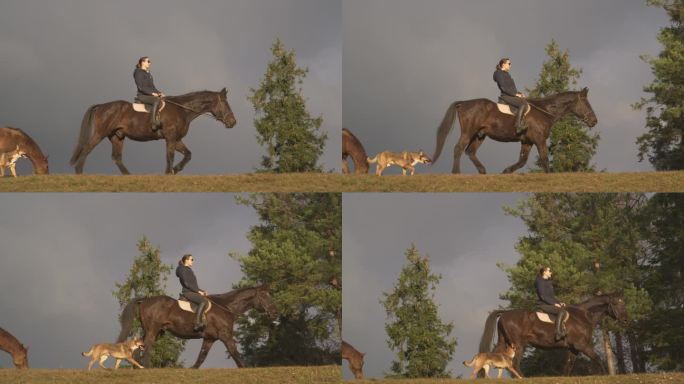 慢镜头:一个女人骑着一匹种马沿着山脊，母马和狗在旁边