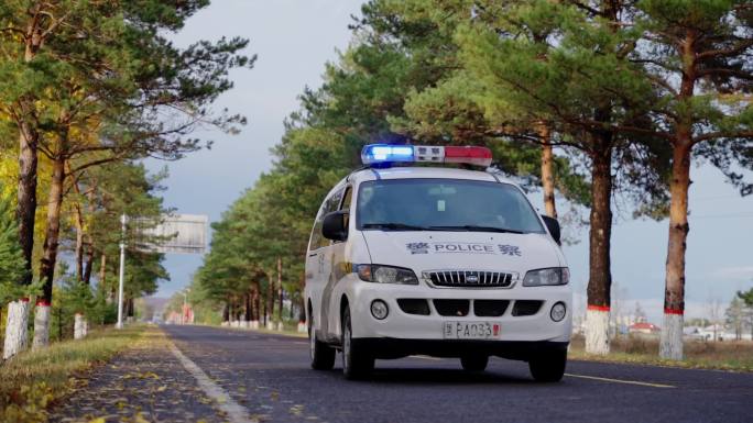 原创 秋季警车