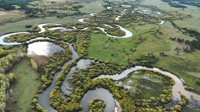 航拍内蒙古呼伦贝尔弯曲的河流湿地秋季景观
