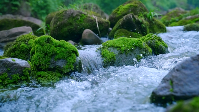 大自然森林雨林流水自然风景