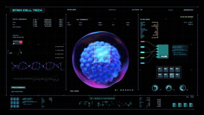 未来HUD医学屏幕数据，扫描干细胞，3D动画