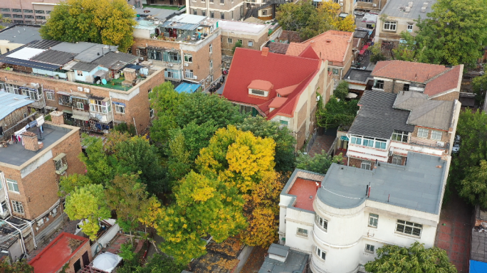 天津五大道秋景