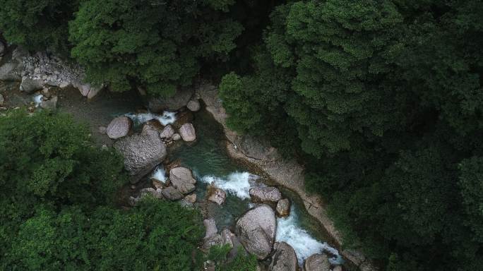 青城后山秘境森林清澈溪流水源地