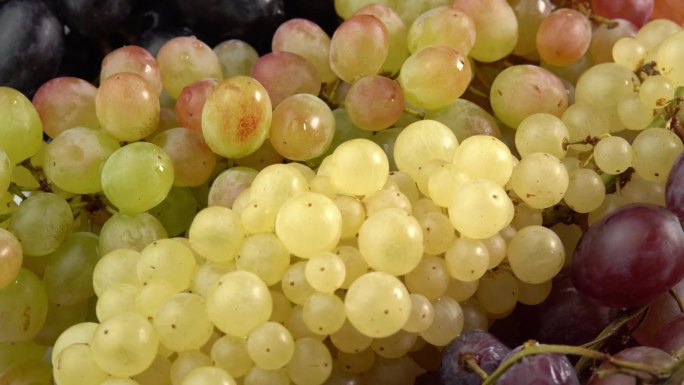 不同种类的新鲜葡萄作为背景旋转。葡萄特写，概念酿酒，葡萄酒生产，葡萄品种