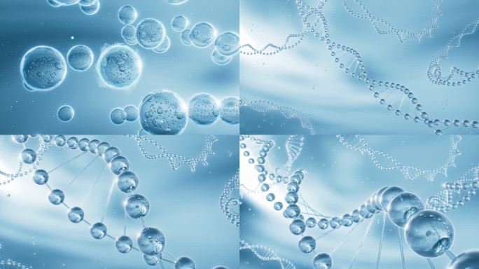 DNA水分子精华化妆品基因