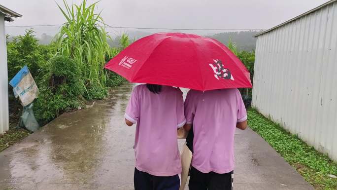 乡村姐妹打雨伞放学女孩子天真雨天走路上学