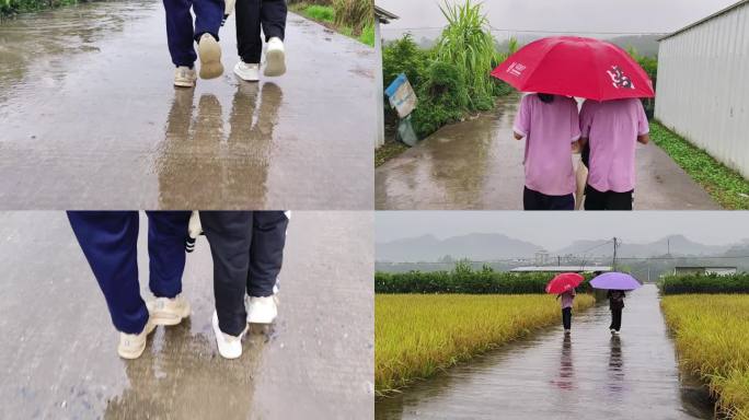 乡村姐妹打雨伞放学女孩子天真雨天走路上学