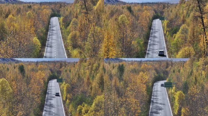 4K-Log-航拍秋季黄色树林中的公路