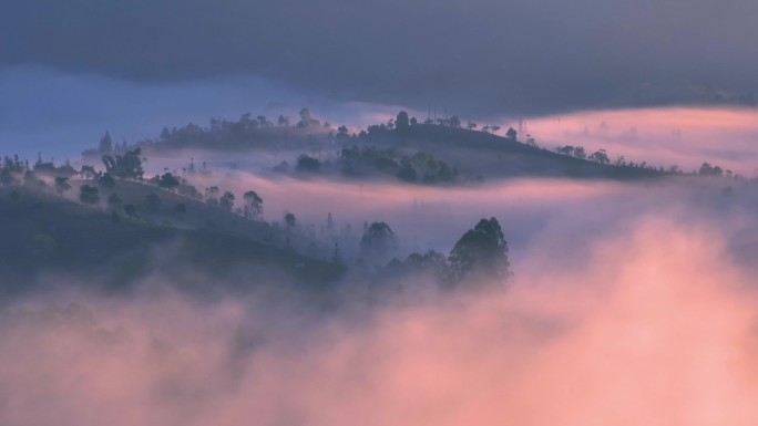 云雾中的茶山