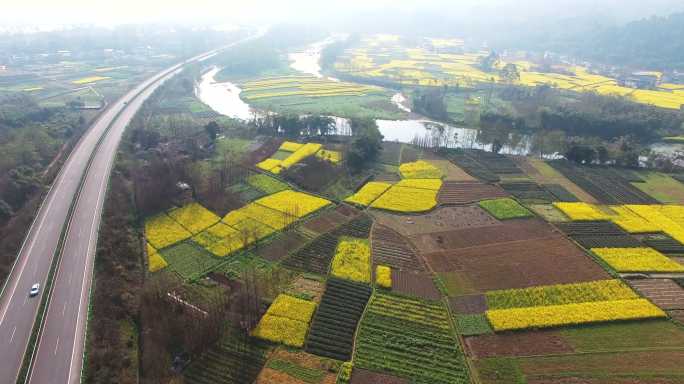 航拍四川春天的油菜花地中的村庄