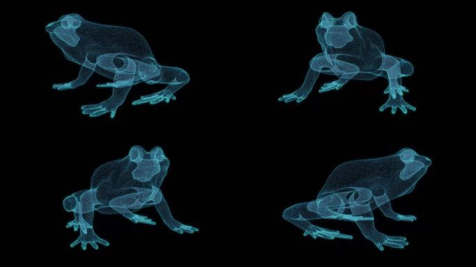 青蛙 产出牛蛙冷血动物动物园蝌蚪水生生物