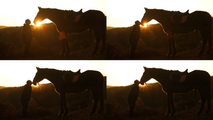 剪影，镜头光晕:金色的阳光在年轻女士和她的马之间闪耀