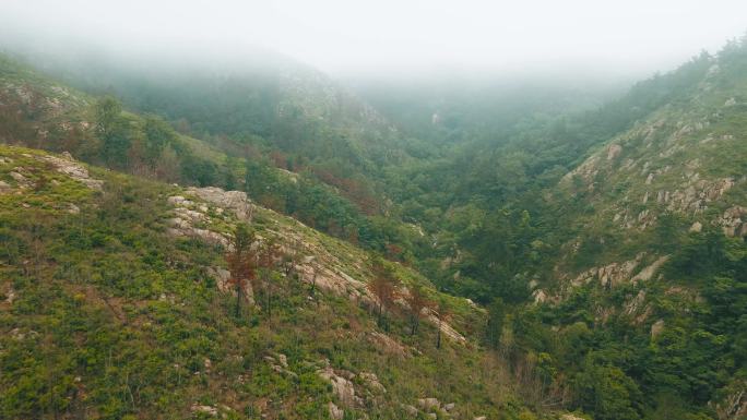 云雾山水 青岛崂山 三标山 森林