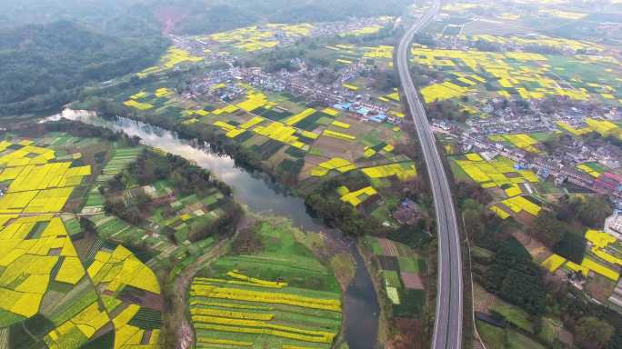 航拍四川春天的油菜花地农村美景