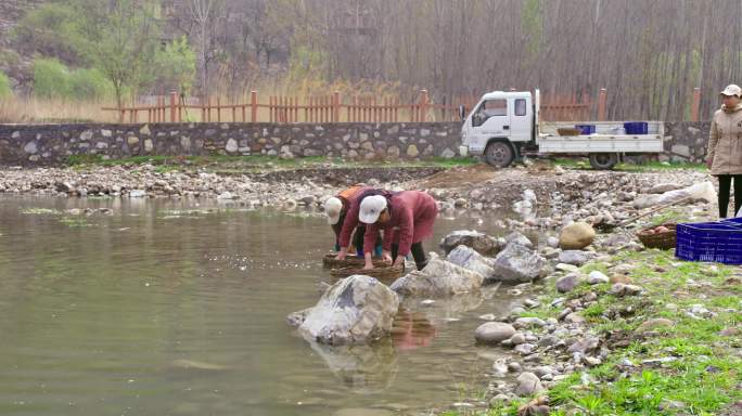 农村妇女在河边清洗箩筐里的红薯