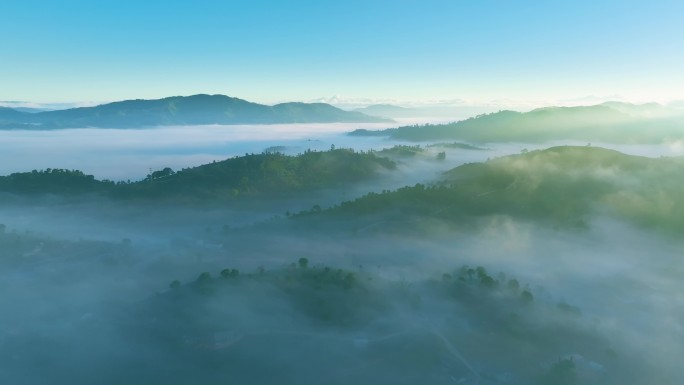 云雾中的茶山