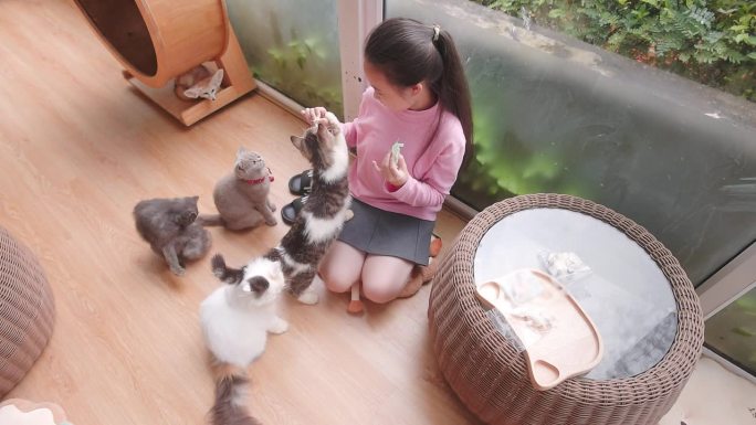 亚洲女孩和她的宠物在家里的客厅里享受