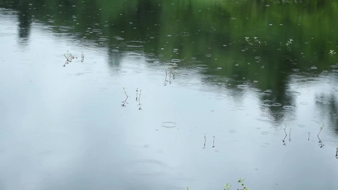 下小雨