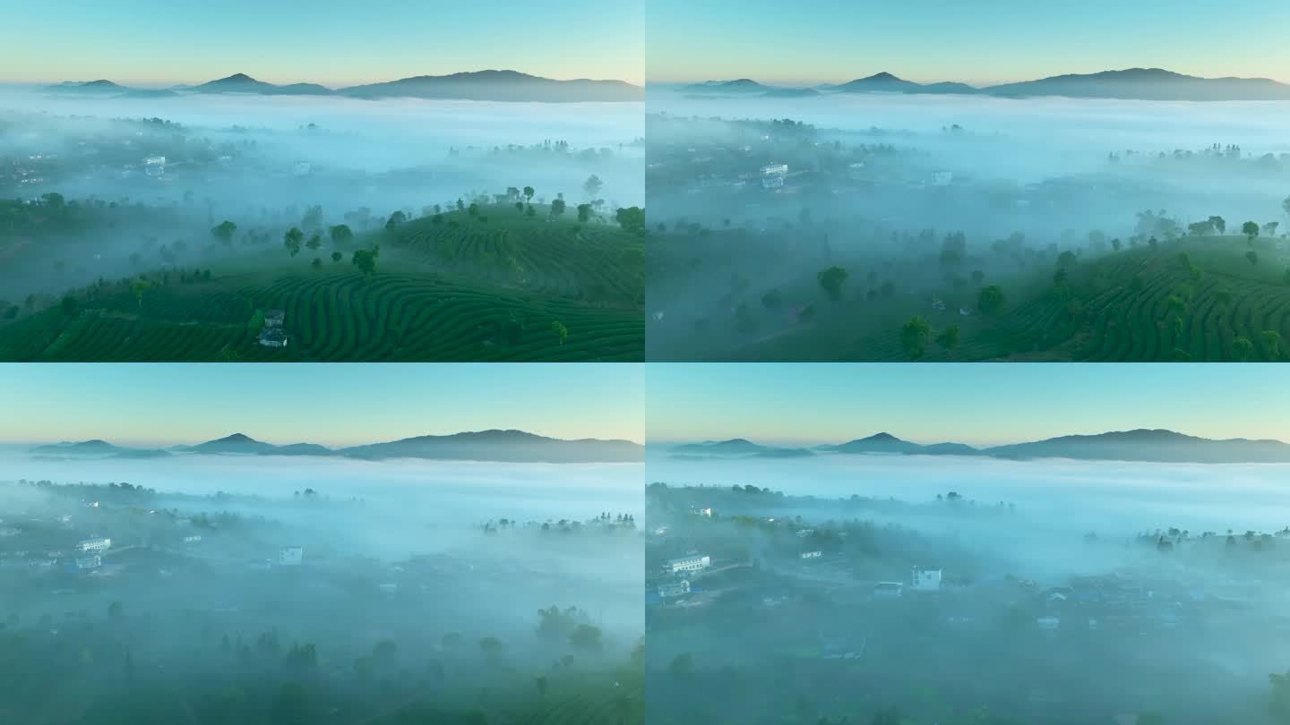 云雾中的茶山