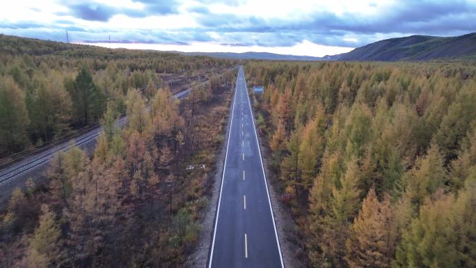 4K-Log-航拍秋天、公路