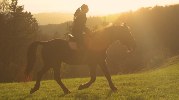 镜头光晕，剪影:令人惊叹的秋天日出和一位骑马的年轻女士