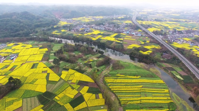 航拍四川春天的油菜花地农村美景