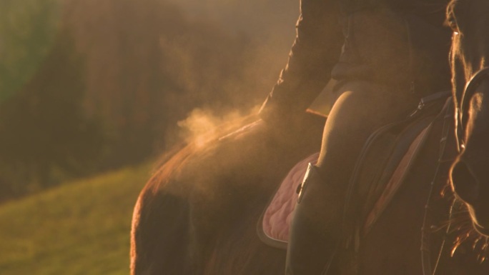 特写:一位骑在马鞍上的骑手拍了拍一匹马，马上扬起了一团灰尘