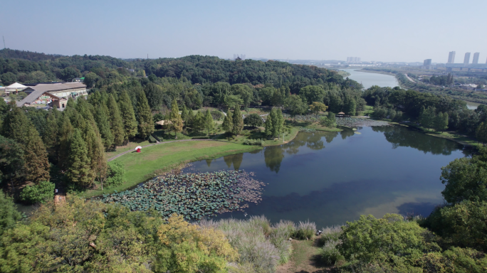 5.4K长沙园林生态园初秋景色航拍空镜