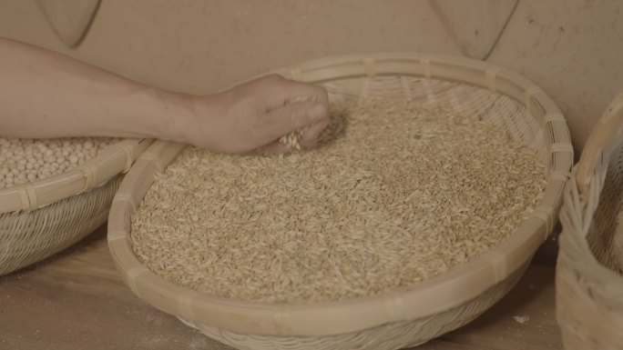 4K小麦展示素材