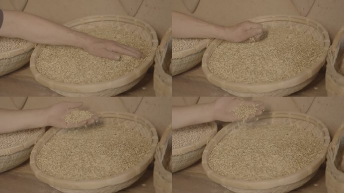 4K小麦展示素材