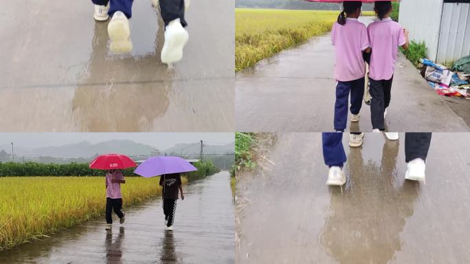 乡村姐妹打雨伞放学女孩子天真雨天走路上学