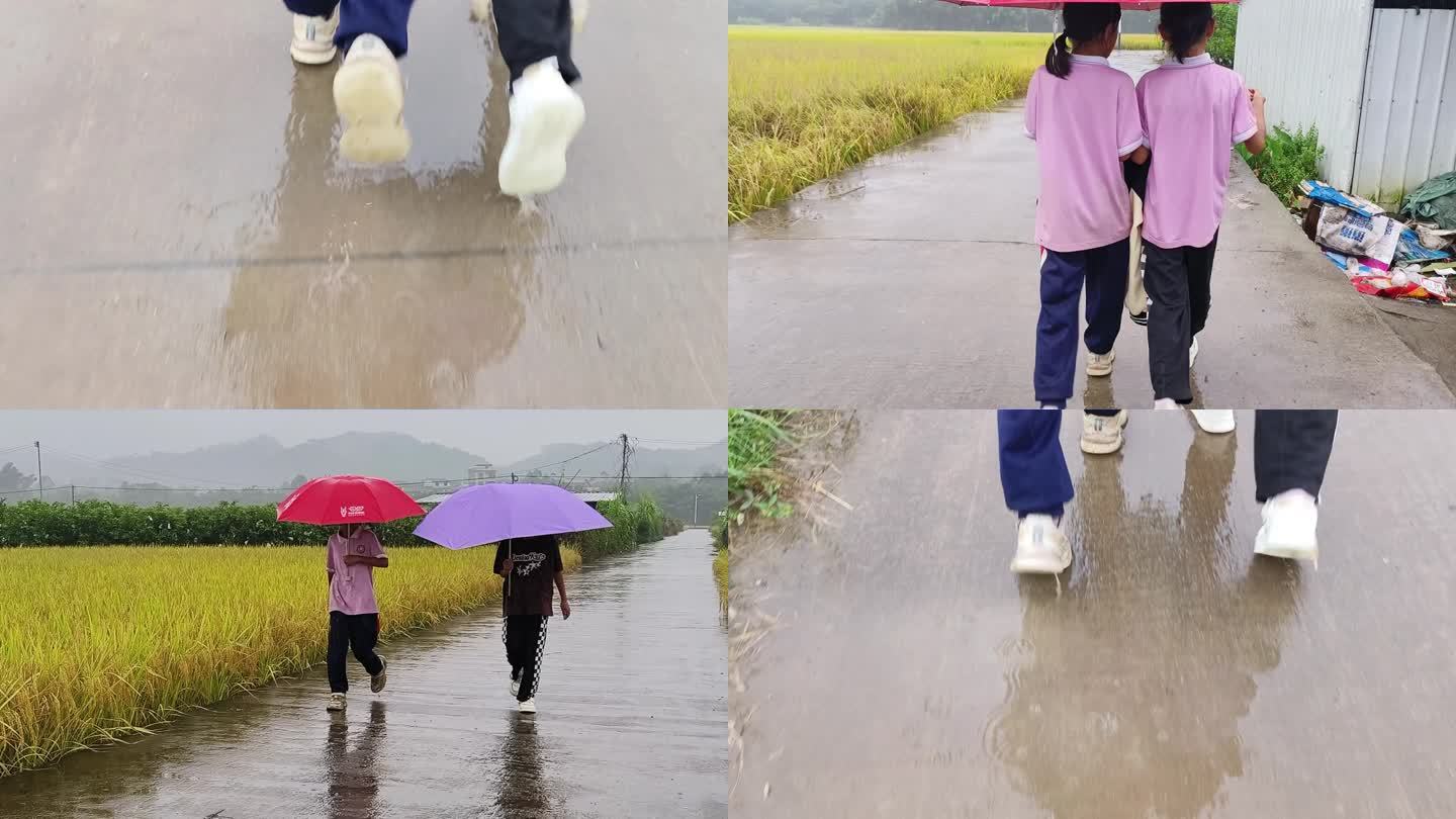 乡村姐妹打雨伞放学女孩子天真雨天走路上学