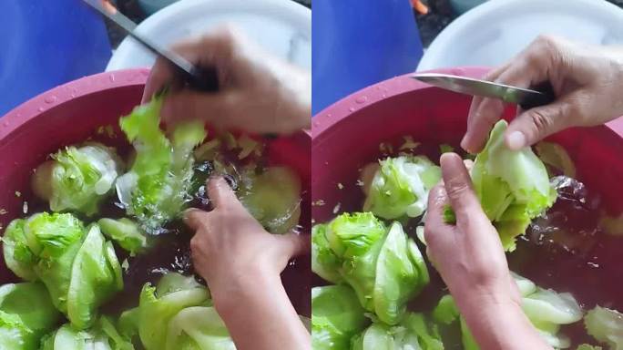 垂直视频片段显示，一名厨师在准备套餐前演示如何清洗沙拉蔬菜，并将其切成小块。