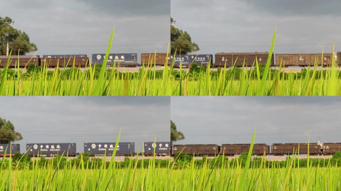 货运列车穿过稻田