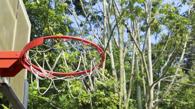 在以树木为背景的公园里扔一个篮球圈，球击中的圈就是飞过网的东西