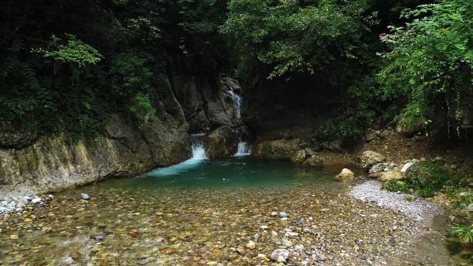 青城后山秘境森林清澈溪流水源地