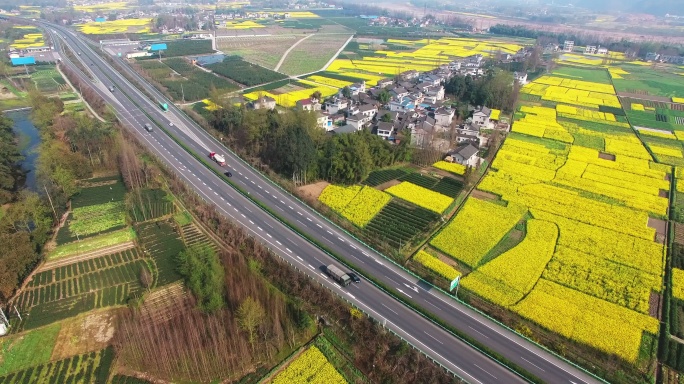 航拍四川春天的油菜花地农村美景