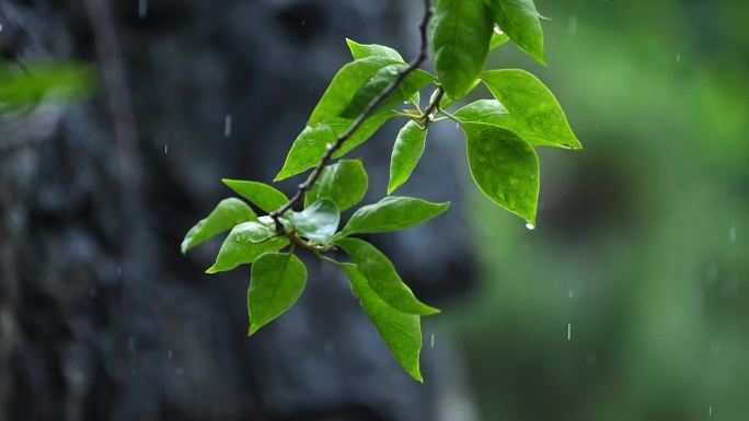 古建筑屋檐雨滴