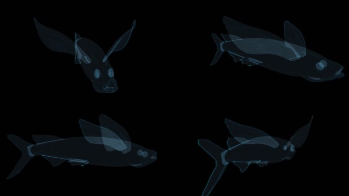 鲸鱼气球 鲸鱼抱枕海洋生物可爱大鱼鲨鱼