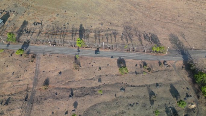 在一个阳光明媚的日子里，一辆黑色汽车在偏远村庄的沙漠公路上行驶的航拍画面