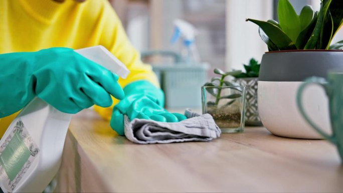 清洁剂，手和人用化学品，清洁家具和喷洒卫生用品和手套，消毒和产品。接待，客房管理和服务，门卫，家务和