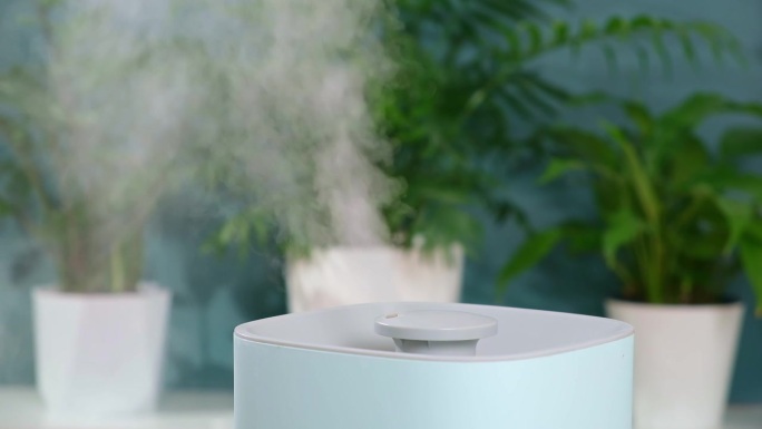 超声波加湿器释放冷蒸汽。植物在干燥空气中的养护和水合作用。