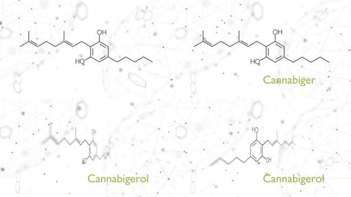 大麻酚或CBG分子结构化学式。未来科学背景。药理学的概念